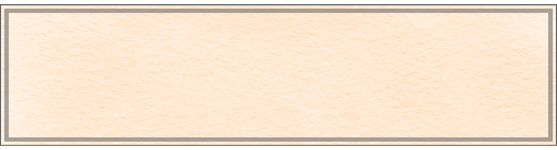 FALL BLOCK SLIM RT TOP