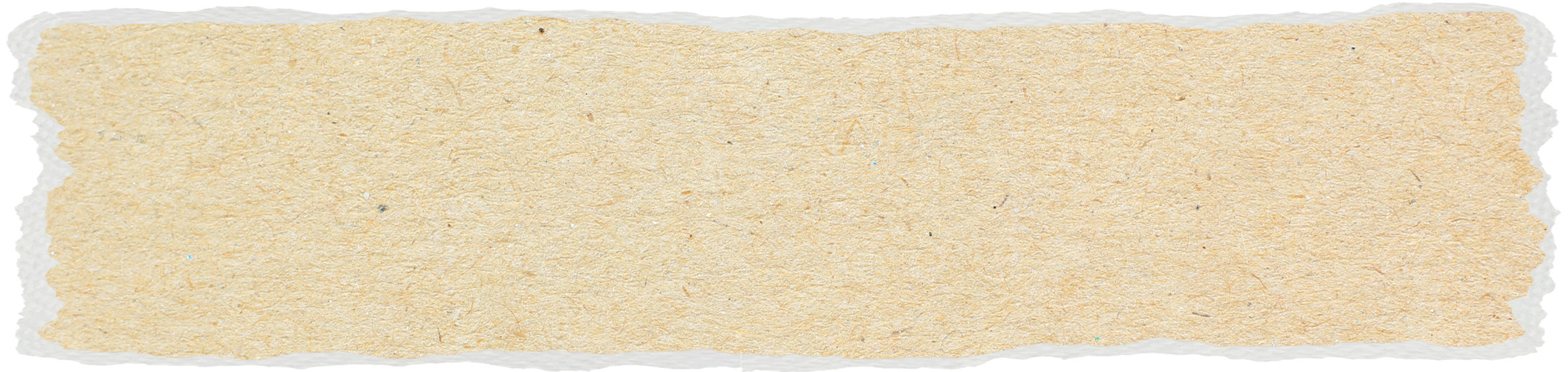  MASTER watercolor BOTTOM RT.psd 